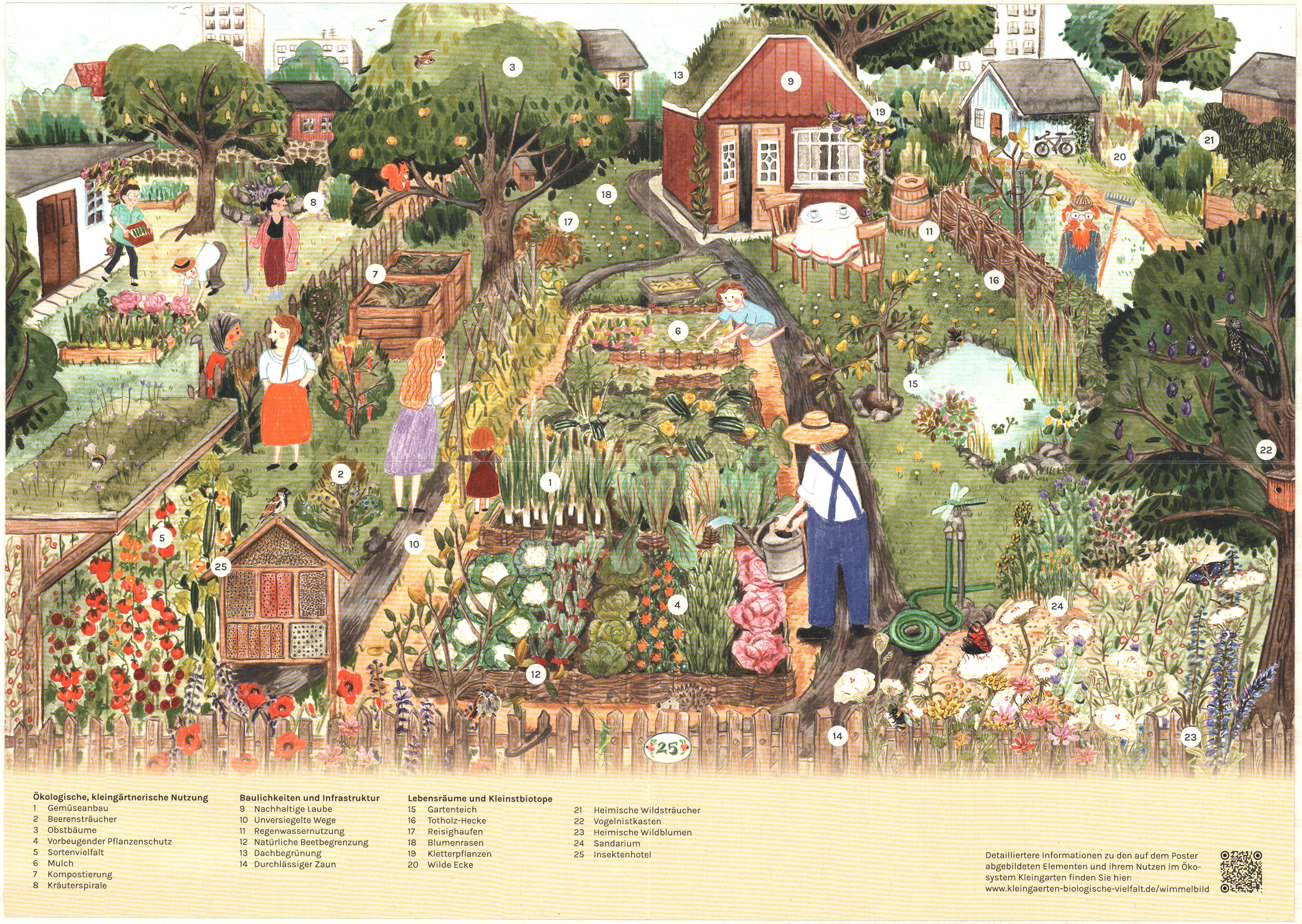 Wimmelbild